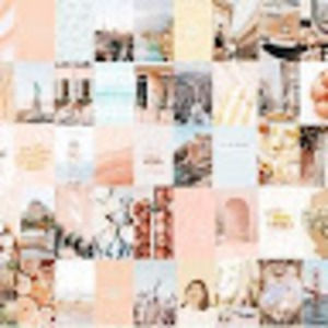 Meet your Posher, Shea